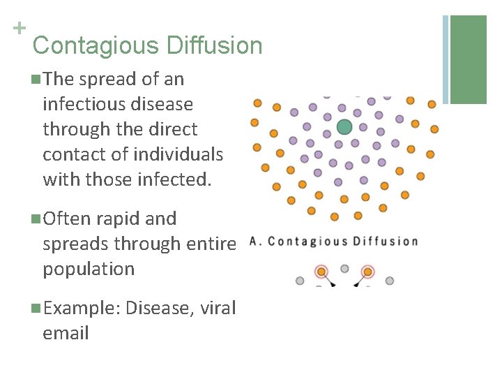 + Contagious Diffusion n The spread of an infectious disease through the direct contact