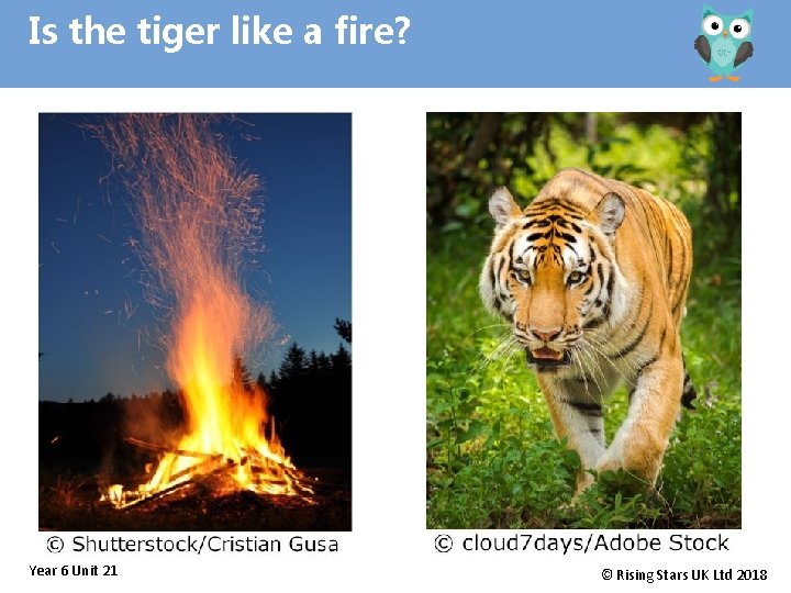 Is the tiger like a fire? Year 6 Unit 21 © Rising Stars UK