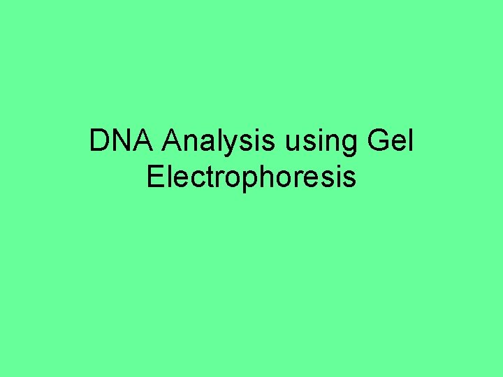 DNA Analysis using Gel Electrophoresis 