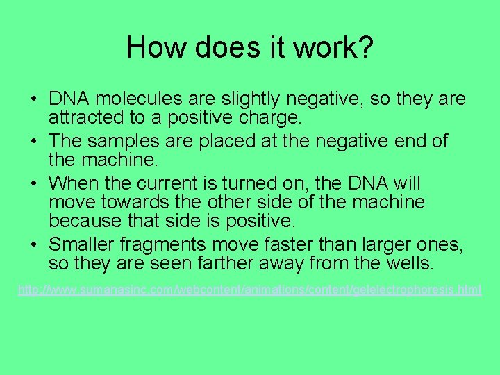 How does it work? • DNA molecules are slightly negative, so they are attracted