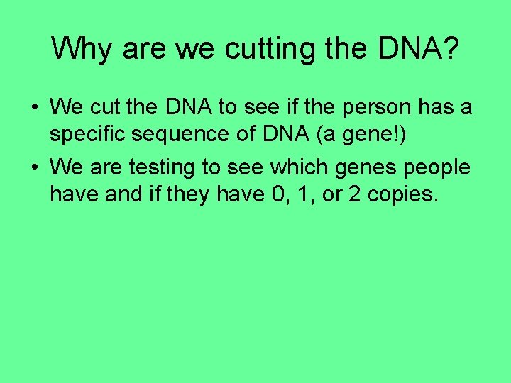 Why are we cutting the DNA? • We cut the DNA to see if