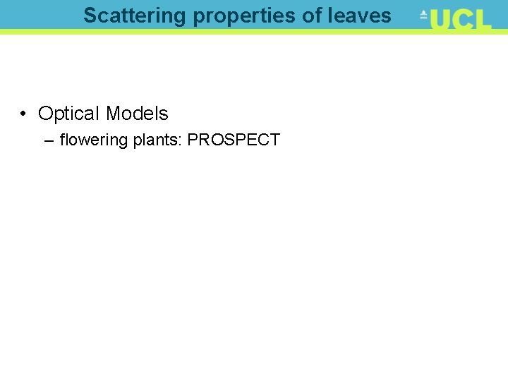 Scattering properties of leaves • Optical Models – flowering plants: PROSPECT 