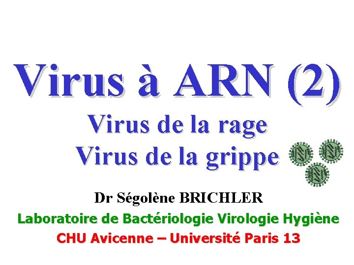 Virus à ARN (2) Virus de la rage Virus de la grippe Dr Ségolène