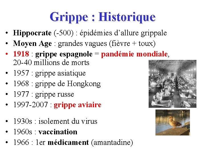 Grippe : Historique • Hippocrate (-500) : épidémies d’allure grippale • Moyen Age :
