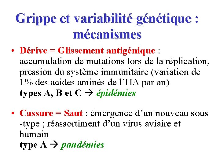Grippe et variabilité génétique : mécanismes • Dérive = Glissement antigénique : accumulation de