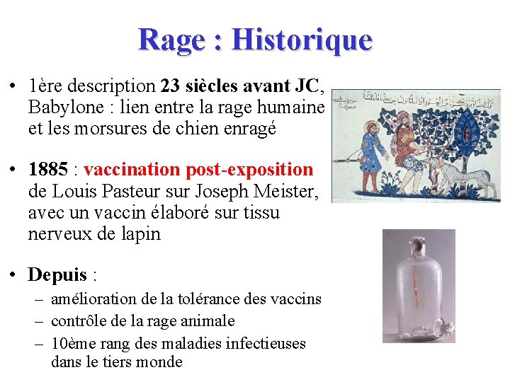 Rage : Historique • 1ère description 23 siècles avant JC, Babylone : lien entre