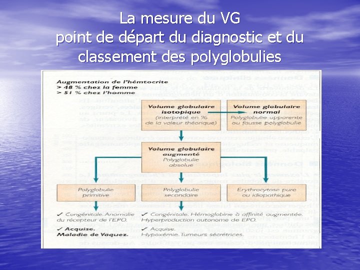 La mesure du VG point de départ du diagnostic et du classement des polyglobulies