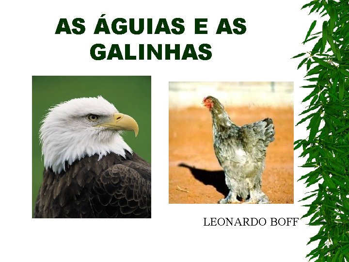 AS ÁGUIAS E AS GALINHAS LEONARDO BOFF 