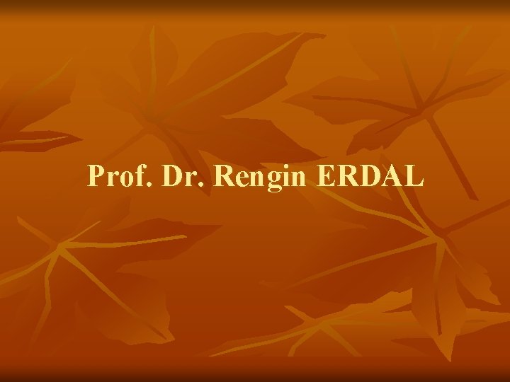 Prof. Dr. Rengin ERDAL 