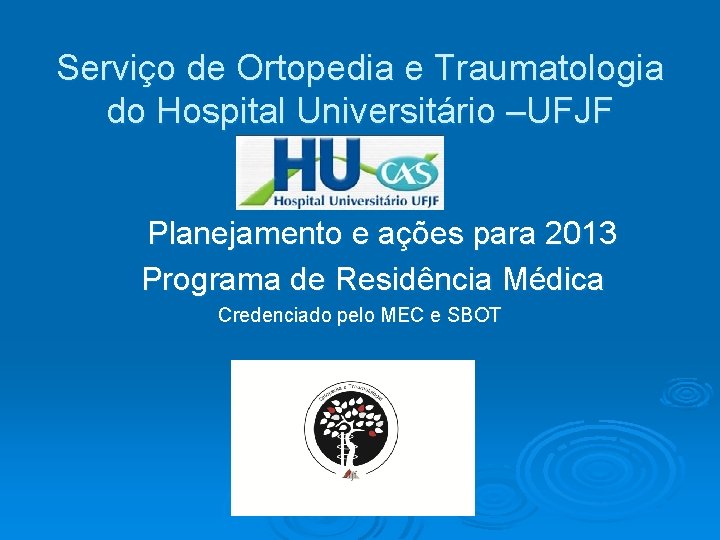 Serviço de Ortopedia e Traumatologia do Hospital Universitário –UFJF Planejamento e ações para 2013