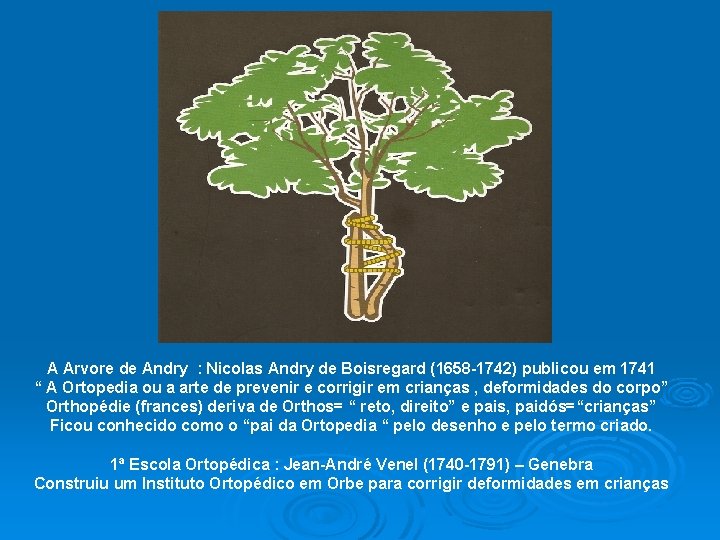 A Arvore de Andry : Nicolas Andry de Boisregard (1658 -1742) publicou em 1741