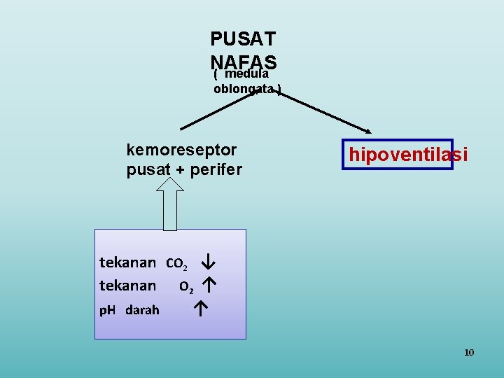 PUSAT NAFAS ( medula oblongata ) kemoreseptor pusat + perifer hipoventilasi tekanan CO 2