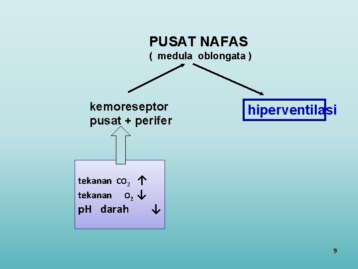 PUSAT NAFAS ( medula oblongata ) kemoreseptor pusat + perifer tekanan CO 2 ↑