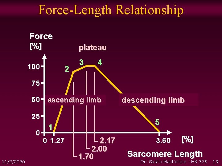 Force-Length Relationship Force [%] plateau 100 2 3 4 75 50 ascending limb 25