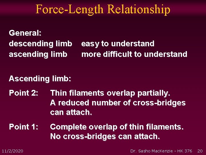 Force-Length Relationship General: descending limb ascending limb easy to understand more difficult to understand Force-Length Relationship General: descending limb ascending limb easy to understand more difficult to understand