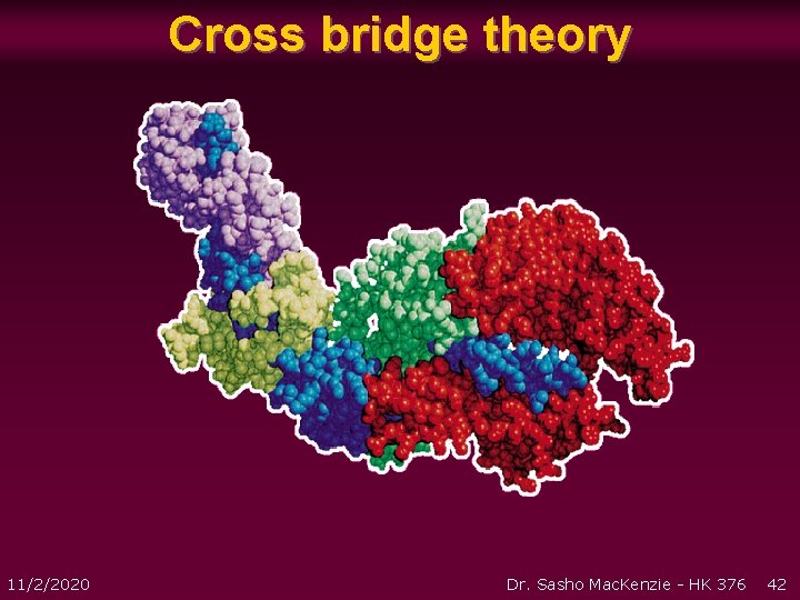 Cross bridge theory 11/2/2020 Dr. Sasho Mac. Kenzie - HK 376 42 Cross bridge theory 11/2/2020 Dr. Sasho Mac. Kenzie - HK 376 42