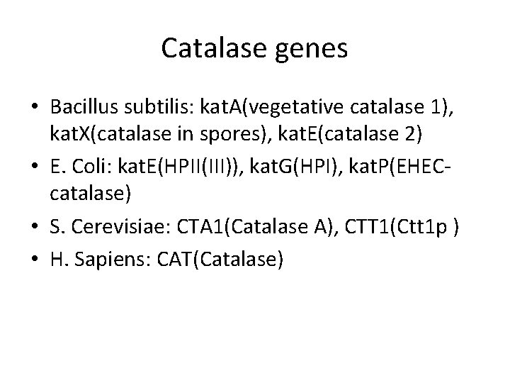 Catalase genes • Bacillus subtilis: kat. A(vegetative catalase 1), kat. X(catalase in spores), kat.