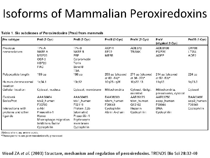 Isoforms of Mammalian Peroxiredoxins Wood ZA et al. (2003) Structure, mechanism and regulation of
