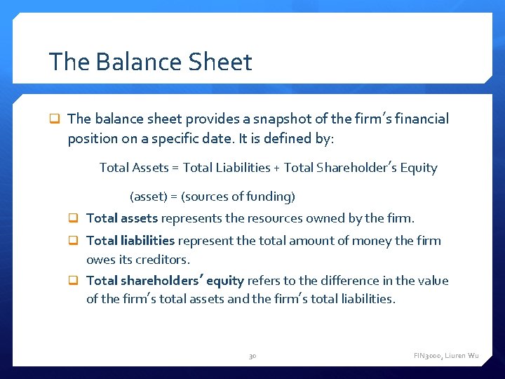 The Balance Sheet The balance sheet provides a snapshot of the firm’s financial position