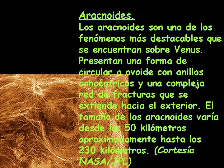 Aracnoides. Los aracnoides son uno de los fenómenos más destacables que se encuentran sobre Aracnoides. Los aracnoides son uno de los fenómenos más destacables que se encuentran sobre