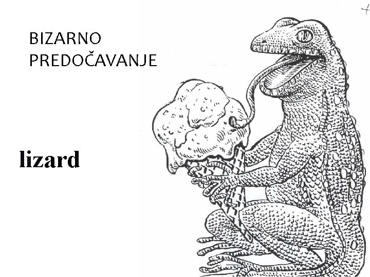 BIZARNO PREDOČAVANJE lizard 