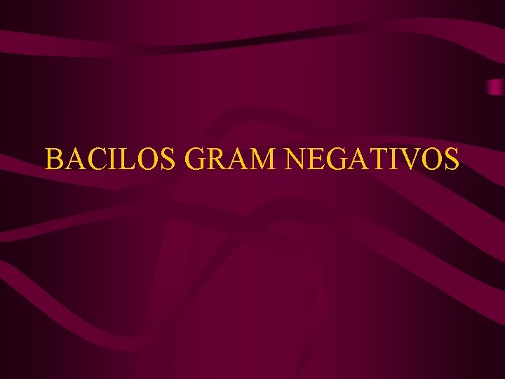 BACILOS GRAM NEGATIVOS 