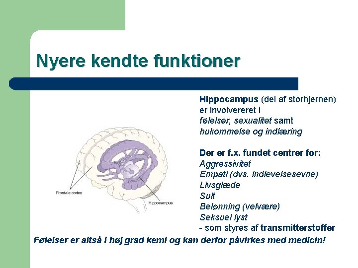 Nyere kendte funktioner Hippocampus (del af storhjernen) er involvereret i følelser, sexualitet samt hukommelse