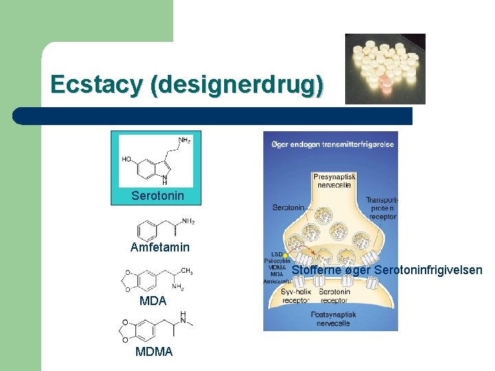 Ecstacy (designerdrug) Serotonin Amfetamin Stofferne øger Serotoninfrigivelsen MDA MDMA 