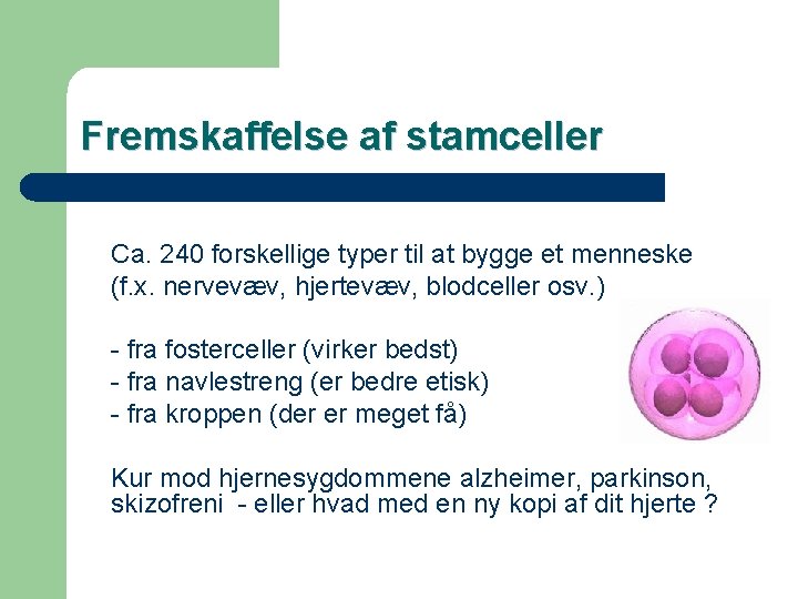 Fremskaffelse af stamceller Ca. 240 forskellige typer til at bygge et menneske (f. x.