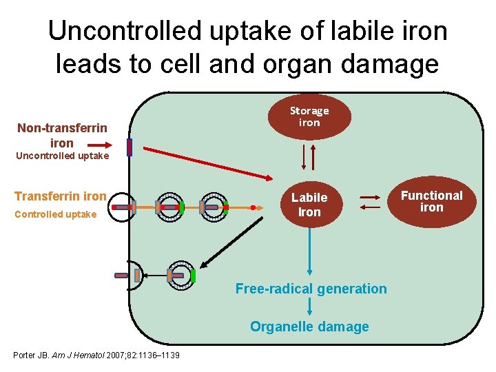 Uncontrolled uptake of labile iron leads to cell and organ damage Non-transferrin iron Storage