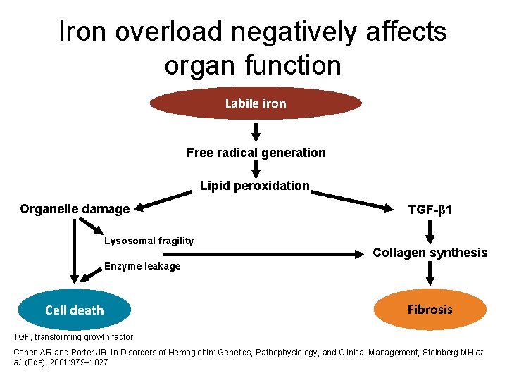 Iron overload negatively affects organ function Labile iron Free radical generation Lipid peroxidation Organelle Iron overload negatively affects organ function Labile iron Free radical generation Lipid peroxidation Organelle