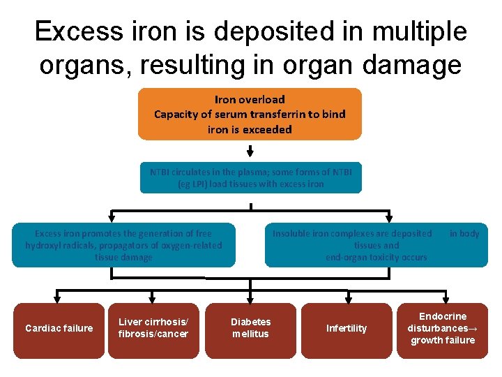 Excess iron is deposited in multiple organs, resulting in organ damage Iron overload Capacity