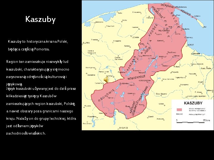 Kaszuby to historyczna kraina Polski, będąca częścią Pomorza. Region ten zamieszkuje niezwykły lud kaszubski,