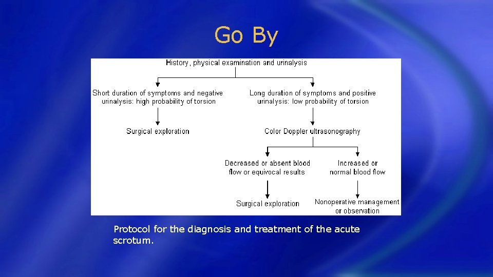 Go By Protocol for the diagnosis and treatment of the acute scrotum. 