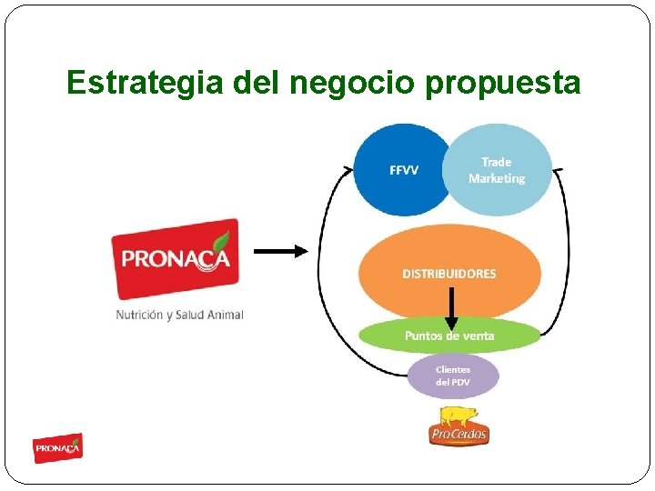 Estrategia del negocio propuesta 