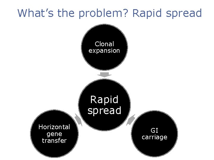 What’s the problem? Rapid spread Clonal expansion Rapid spread Horizontal gene transfer GI carriage