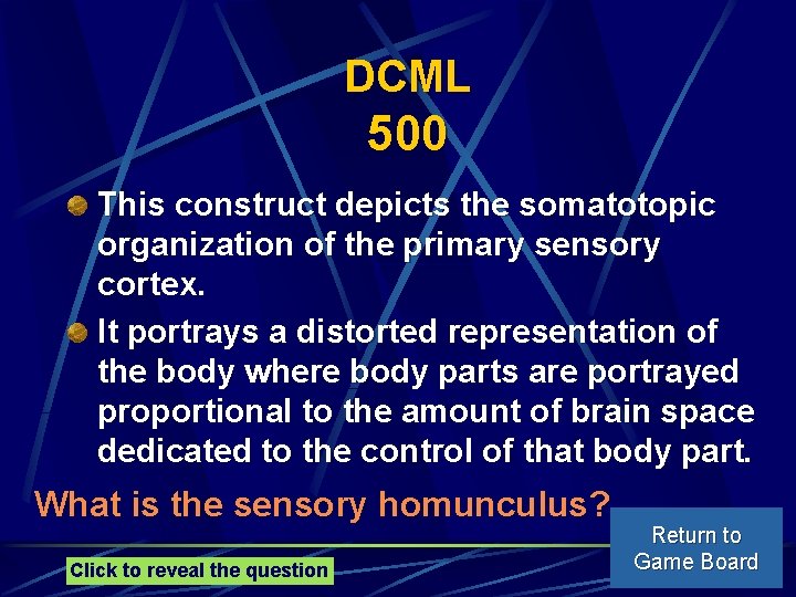 DCML 500 This construct depicts the somatotopic organization of the primary sensory cortex. It