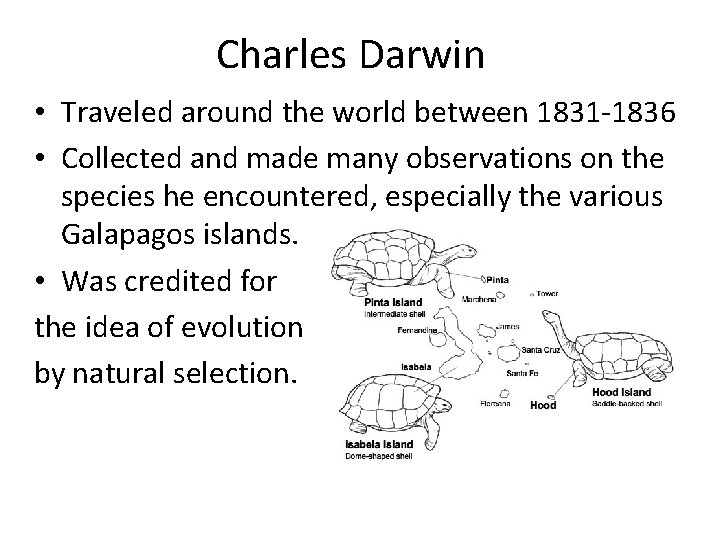Charles Darwin • Traveled around the world between 1831 -1836 • Collected and made