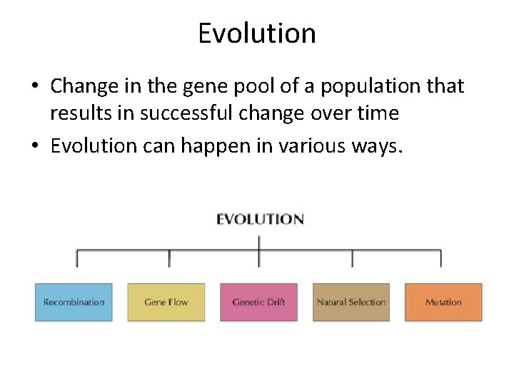 Evolution • Change in the gene pool of a population that results in successful