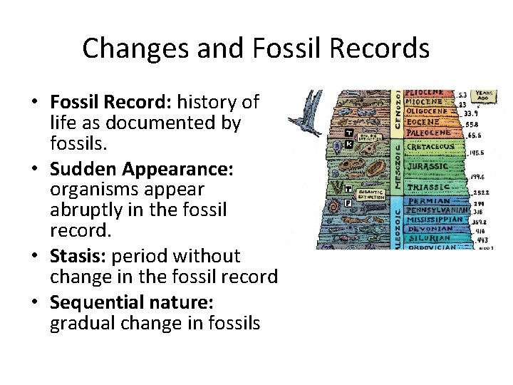 Changes and Fossil Records • Fossil Record: history of life as documented by fossils. Changes and Fossil Records • Fossil Record: history of life as documented by fossils.