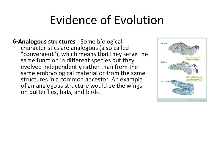 Evidence of Evolution 6 -Analogous structures - Some biological characteristics are analogous (also called