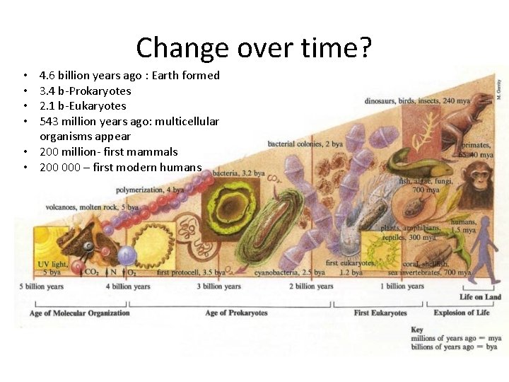 Change over time? 4. 6 billion years ago : Earth formed 3. 4 b-Prokaryotes