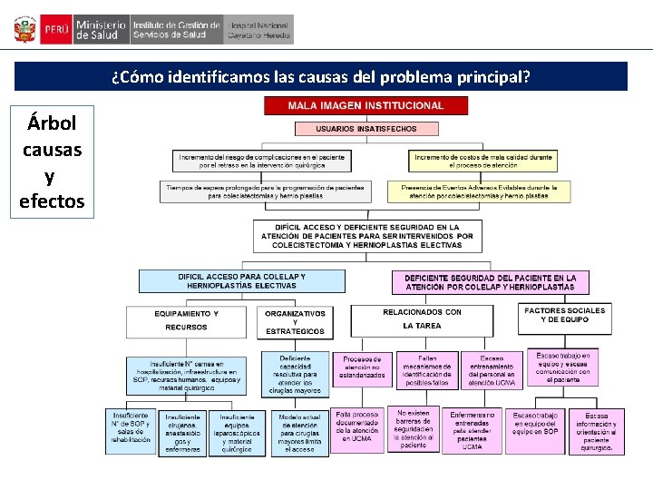 ¿Cómo identificamos las causas del problema principal? Árbol causas y efectos 