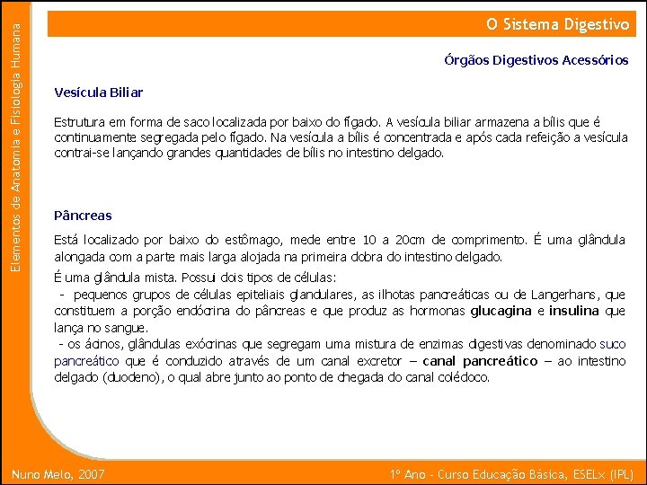 Elementos de Anatomia e Fisiologia Humana O Sistema Digestivo Órgãos Digestivos Acessórios Vesícula Biliar