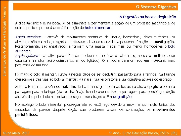 Elementos de Anatomia e Fisiologia Humana O Sistema Digestivo A Digestão na boca e
