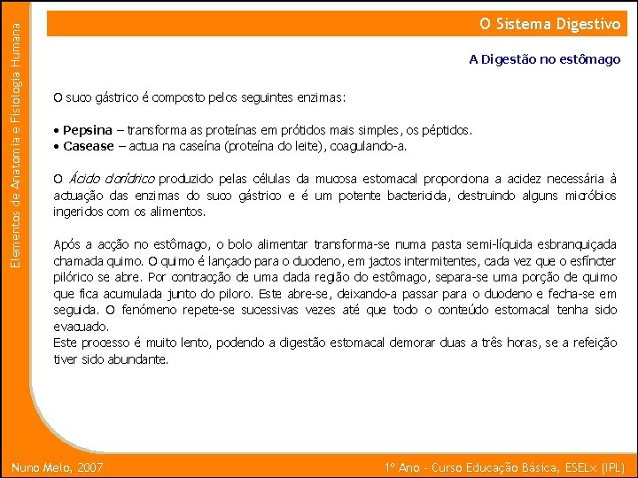 Elementos de Anatomia e Fisiologia Humana O Sistema Digestivo A Digestão no estômago O