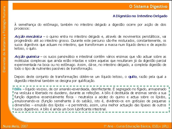 Elementos de Anatomia e Fisiologia Humana O Sistema Digestivo A Digestão no Intestino Delgado