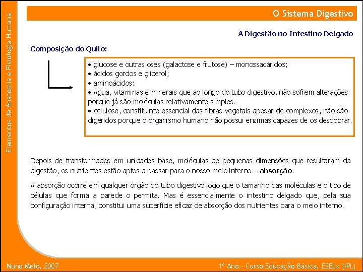 Elementos de Anatomia e Fisiologia Humana O Sistema Digestivo A Digestão no Intestino Delgado