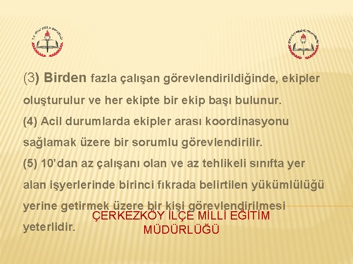 (3) Birden fazla çalışan görevlendirildiğinde, ekipler oluşturulur ve her ekipte bir ekip başı bulunur.