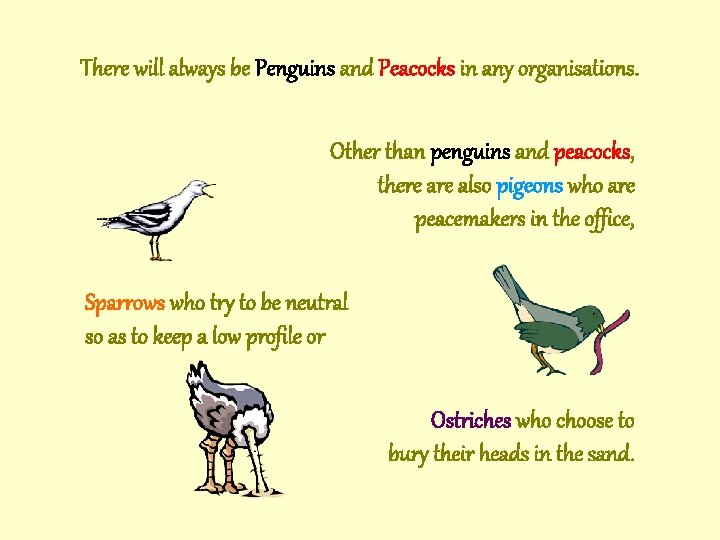 There will always be Penguins and Peacocks in any organisations. Other than penguins and There will always be Penguins and Peacocks in any organisations. Other than penguins and